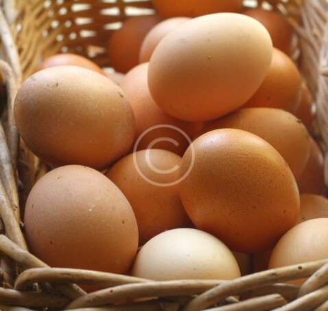 Pastured Eggs